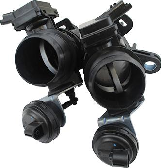 Wilmink Group WG1903852 - Carcasa clapeta aaoparts.ro