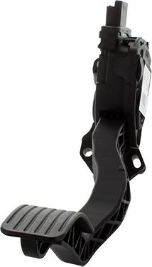 Wilmink Group WG1903812 - Set pedale conducere aaoparts.ro