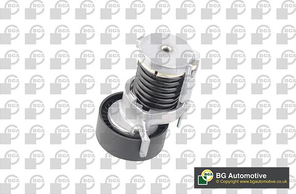 Wilmink Group WG1907393 - Intinzator curea, curea distributie aaoparts.ro