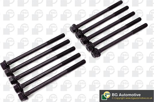 Wilmink Group WG1490042 - Set surub, chiulasa aaoparts.ro