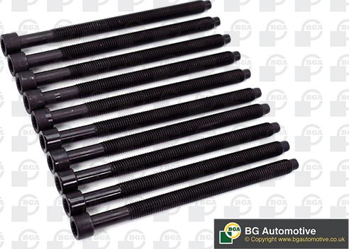 Wilmink Group WG1490125 - Set surub, chiulasa aaoparts.ro