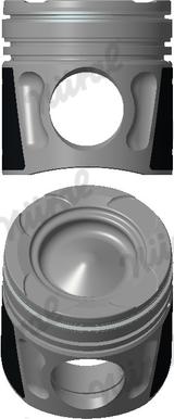 Wilmink Group WG1497618 - Piston aaoparts.ro