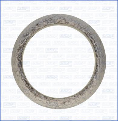 Wilmink Group WG1448984 - Garnitura, racord evacuare aaoparts.ro