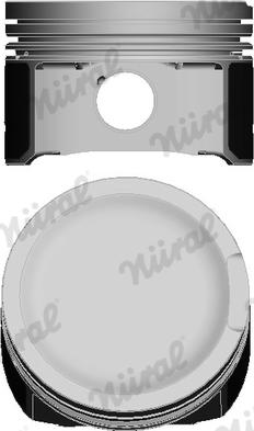 OEM 068107099R - Piston aaoparts.ro