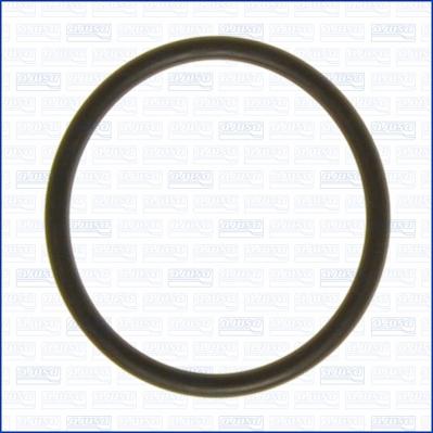 Wilmink Group WG1451828 - Garnitura termostat aaoparts.ro