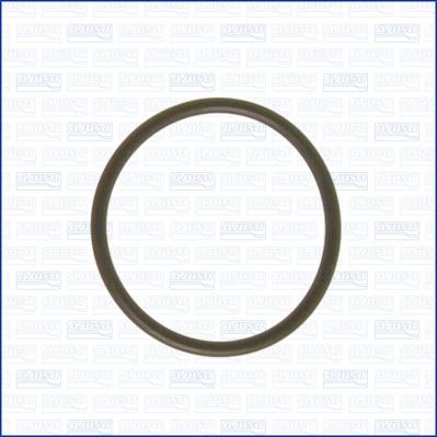 Wilmink Group WG1451732 - Garnitura, flansa lichid racire aaoparts.ro