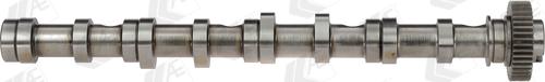 Wilmink Group WG1462592 - Ax cu came aaoparts.ro