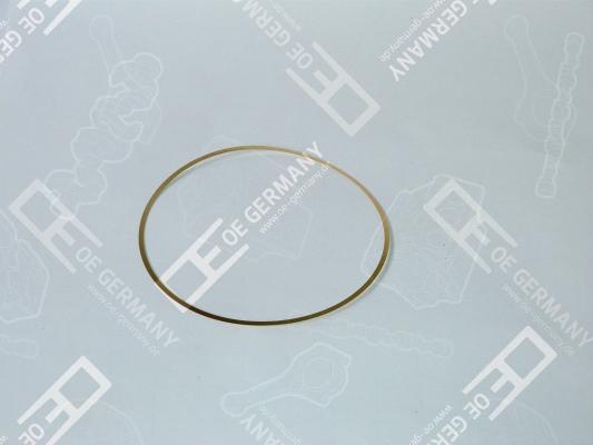 Wilmink Group WG1484601 - O-ring, camasa cilindru aaoparts.ro