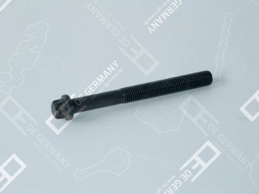 Wilmink Group WG1485075 - Surub chiulasa aaoparts.ro