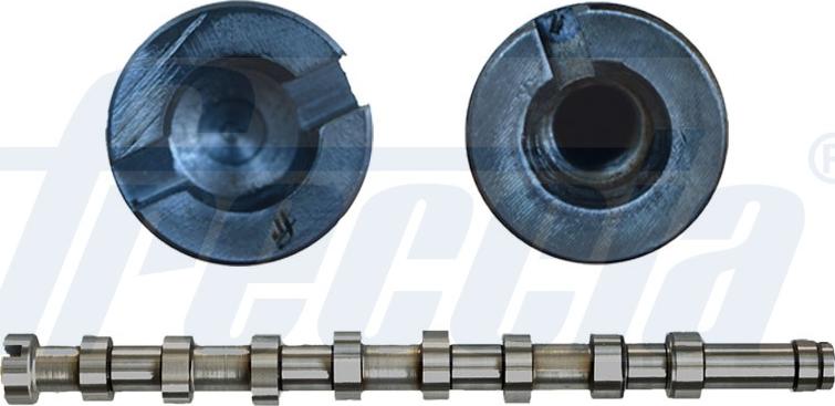 Wilmink Group WG1483810 - Ax cu came aaoparts.ro
