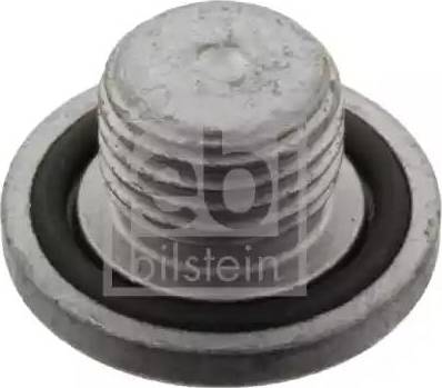 Wilmink Group WG1433746 - Surub de golire,baia de ulei aaoparts.ro