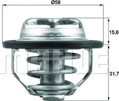 Wilmink Group WG1426520 - Termostat,lichid racire aaoparts.ro