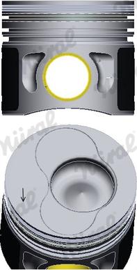 Wilmink Group WG1094040 - Piston aaoparts.ro