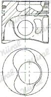 Wilmink Group WG1094039 - Piston aaoparts.ro