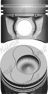 Wilmink Group WG1094038 - Piston aaoparts.ro