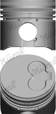Wilmink Group WG1094194 - Piston aaoparts.ro