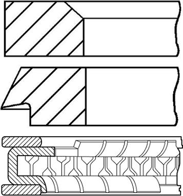 Wilmink Group WG1096308 - Set segmenti piston aaoparts.ro