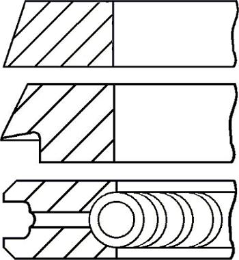 Wilmink Group WG1096225 - Set segmenti piston aaoparts.ro