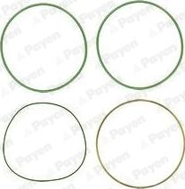 Wilmink Group WG1090654 - Set garnituri, bucsa cilindru aaoparts.ro