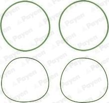 Wilmink Group WG1091023 - Set garnituri, bucsa cilindru aaoparts.ro