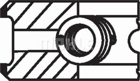 Wilmink Group WG1200965 - Set segmenti piston aaoparts.ro