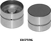 Wilmink Group WG1051904 - Culbutor supapa aaoparts.ro