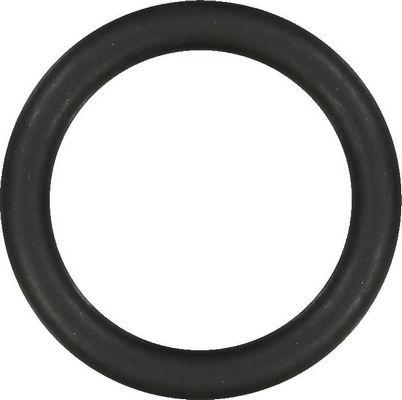 Wilmink Group WG1006635 - Garnitura, galerie admisie aaoparts.ro