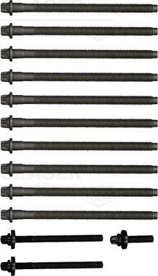 Wilmink Group WG1006272 - Set surub, chiulasa aaoparts.ro