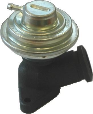 Wilmink Group WG1015299 - Supapa EGR aaoparts.ro