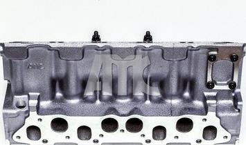 Wilmink Group WG1010985 - Chiulasa aaoparts.ro