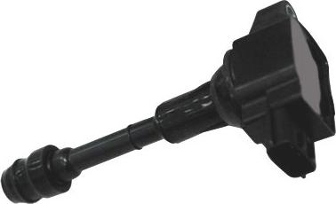 Wilmink Group WG1012446 - Bobina de inductie aaoparts.ro