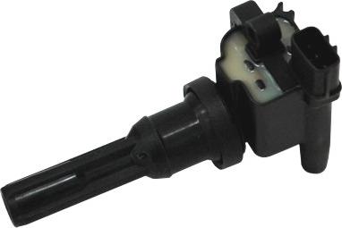 Wilmink Group WG1012440 - Bobina de inductie aaoparts.ro