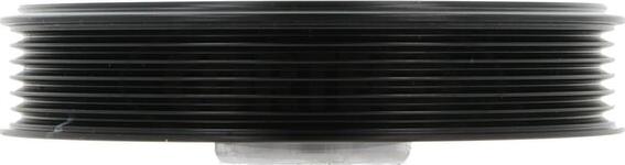 Wilmink Group WG1084345 - Fulie curea, arbore cotit aaoparts.ro