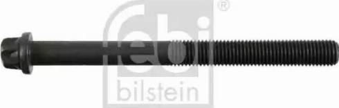 Wilmink Group WG1088375 - Surub chiulasa aaoparts.ro