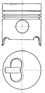 Wilmink Group WG1021984 - Piston aaoparts.ro