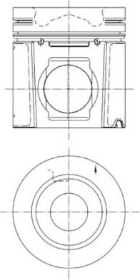 Wilmink Group WG1023556 - Piston aaoparts.ro