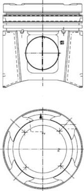 Wilmink Group WG1023699 - Piston aaoparts.ro