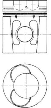 Wilmink Group WG1023155 - Piston aaoparts.ro