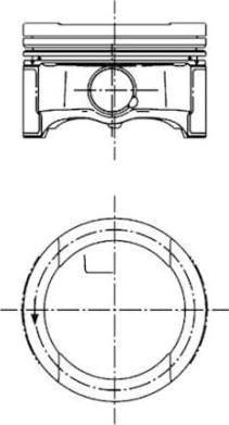 Wilmink Group WG1023735 - Piston aaoparts.ro