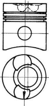 Wilmink Group WG1022879 - Piston aaoparts.ro
