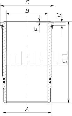 Wilmink Group WG1145346 - Camasa cilindru aaoparts.ro