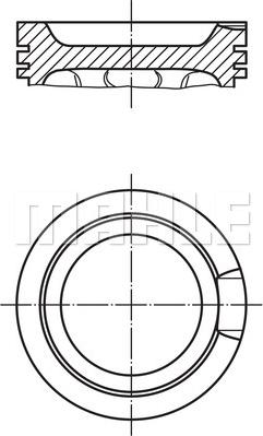 Wilmink Group WG1104454 - Piston aaoparts.ro