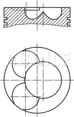 Wilmink Group WG1104509 - Piston aaoparts.ro