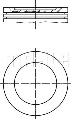 Wilmink Group WG1104320 - Piston aaoparts.ro