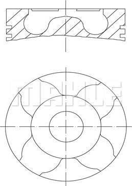 Wilmink Group WG1104731 - Piston aaoparts.ro