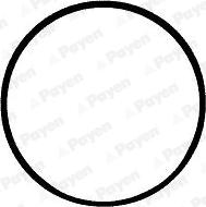 Wilmink Group WG1183130 - O-ring, camasa cilindru aaoparts.ro