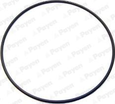 Wilmink Group WG1183120 - O-ring, camasa cilindru aaoparts.ro
