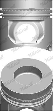 Wilmink Group WG1175438 - Piston aaoparts.ro