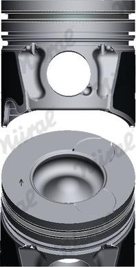 Wilmink Group WG1175149 - Piston aaoparts.ro