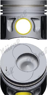 Wilmink Group WG1175153 - Piston aaoparts.ro